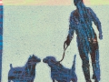 Dog Meets Dog-blue_blog